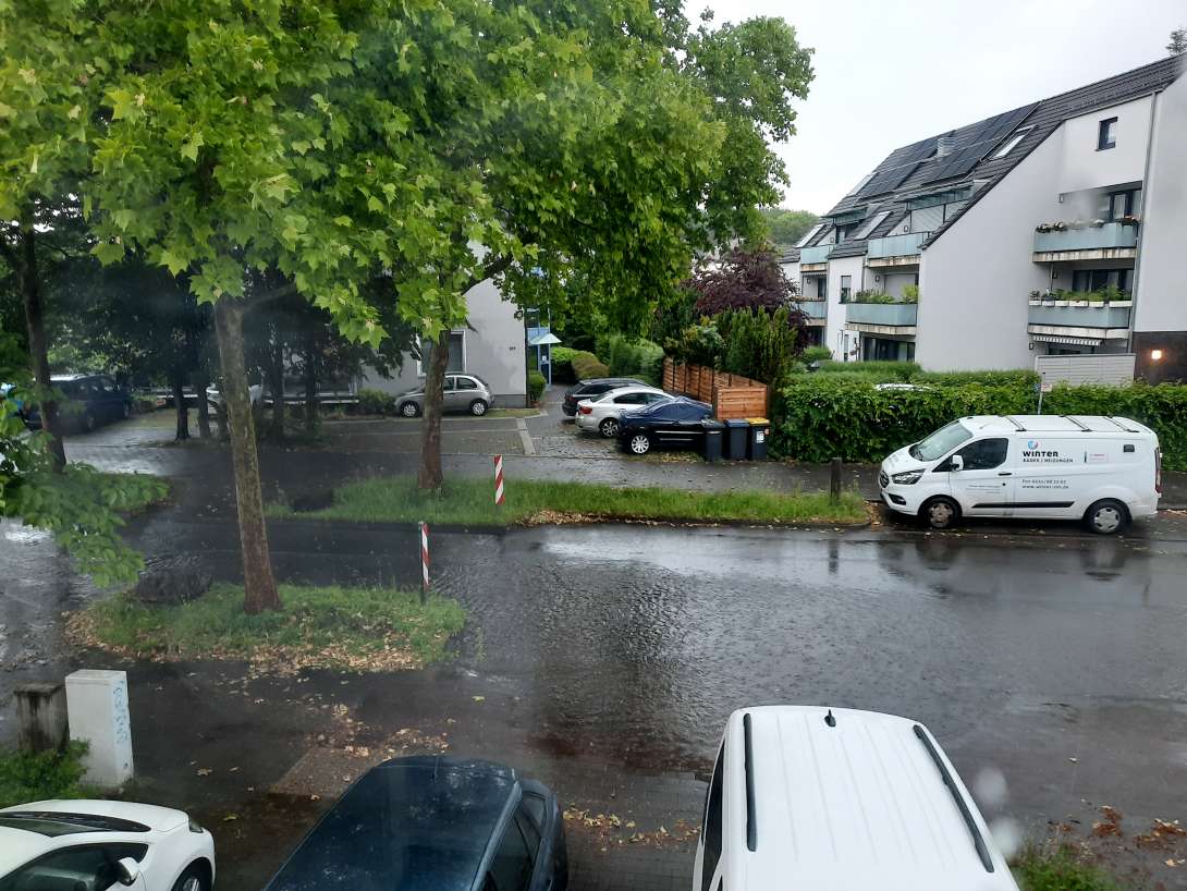 Bild zu gemeldetem Anliegen vom *2025-05-31 18:50:38