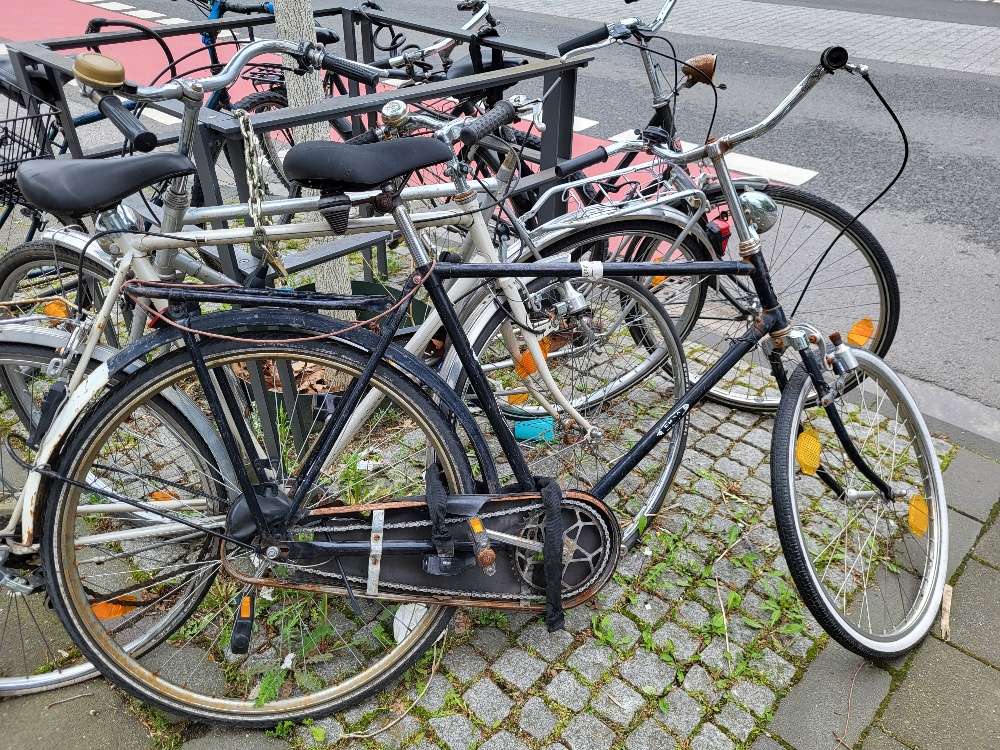 Bild zu gemeldetem Anliegen vom *2025-05-04 11:00:00