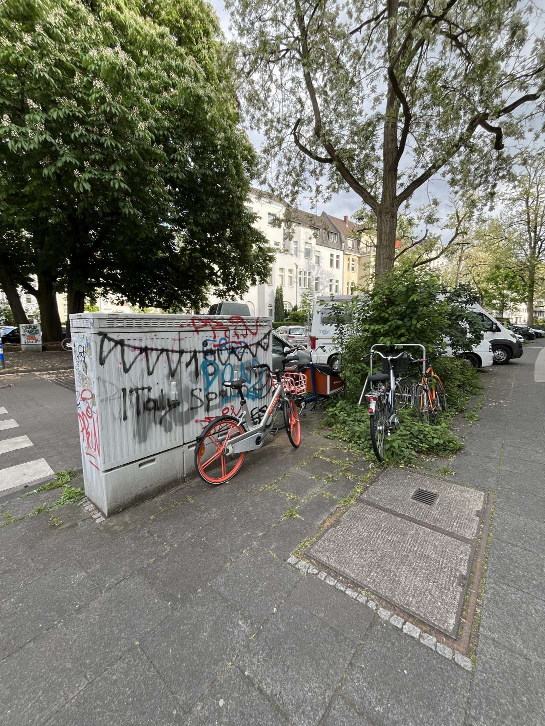 Bild zu gemeldetem Anliegen vom *2025-05-02 12:27:44