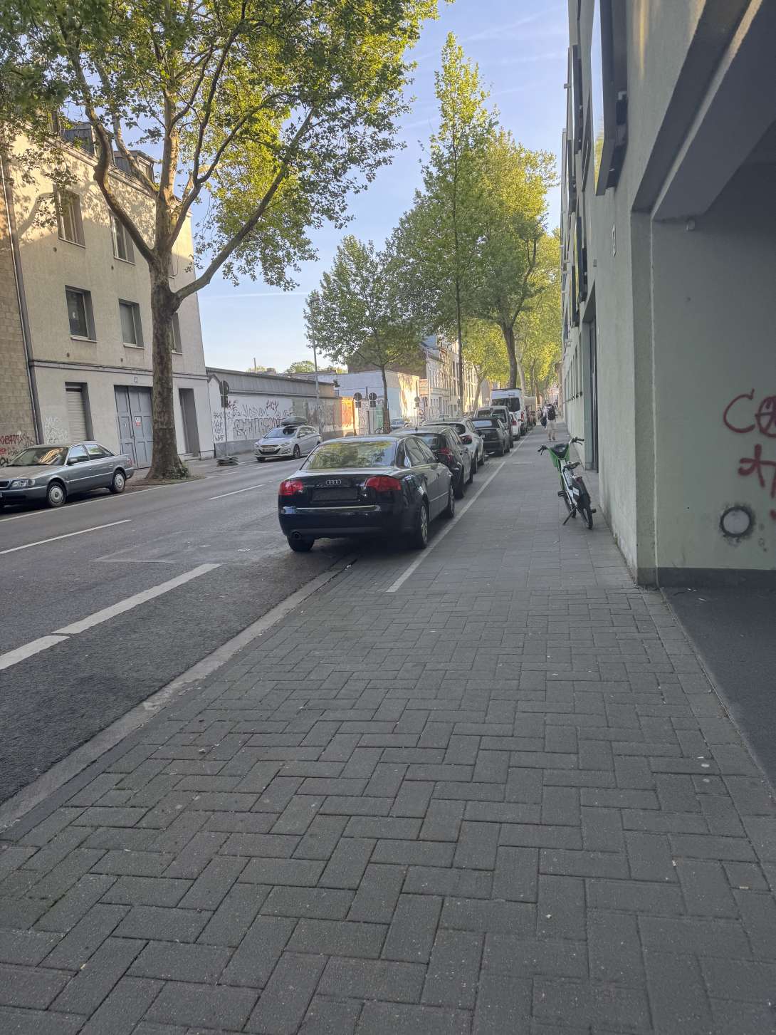 Bild zu gemeldetem Anliegen vom *2025-05-04 09:35:06
