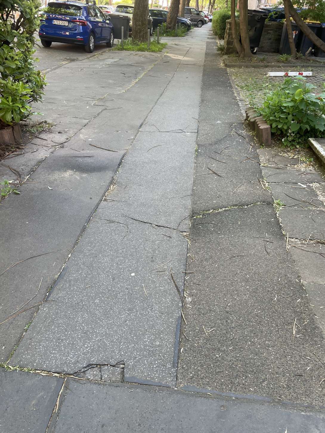 Über diese zwei Huckel sind in den letzten Wochen schön mehrere Personen gestürzt. Unter anderem eine ältere Frau, die kaum mehr aufstehen konnte. Die Huckel sind hoher als sie auf dem Bild wirken. 
