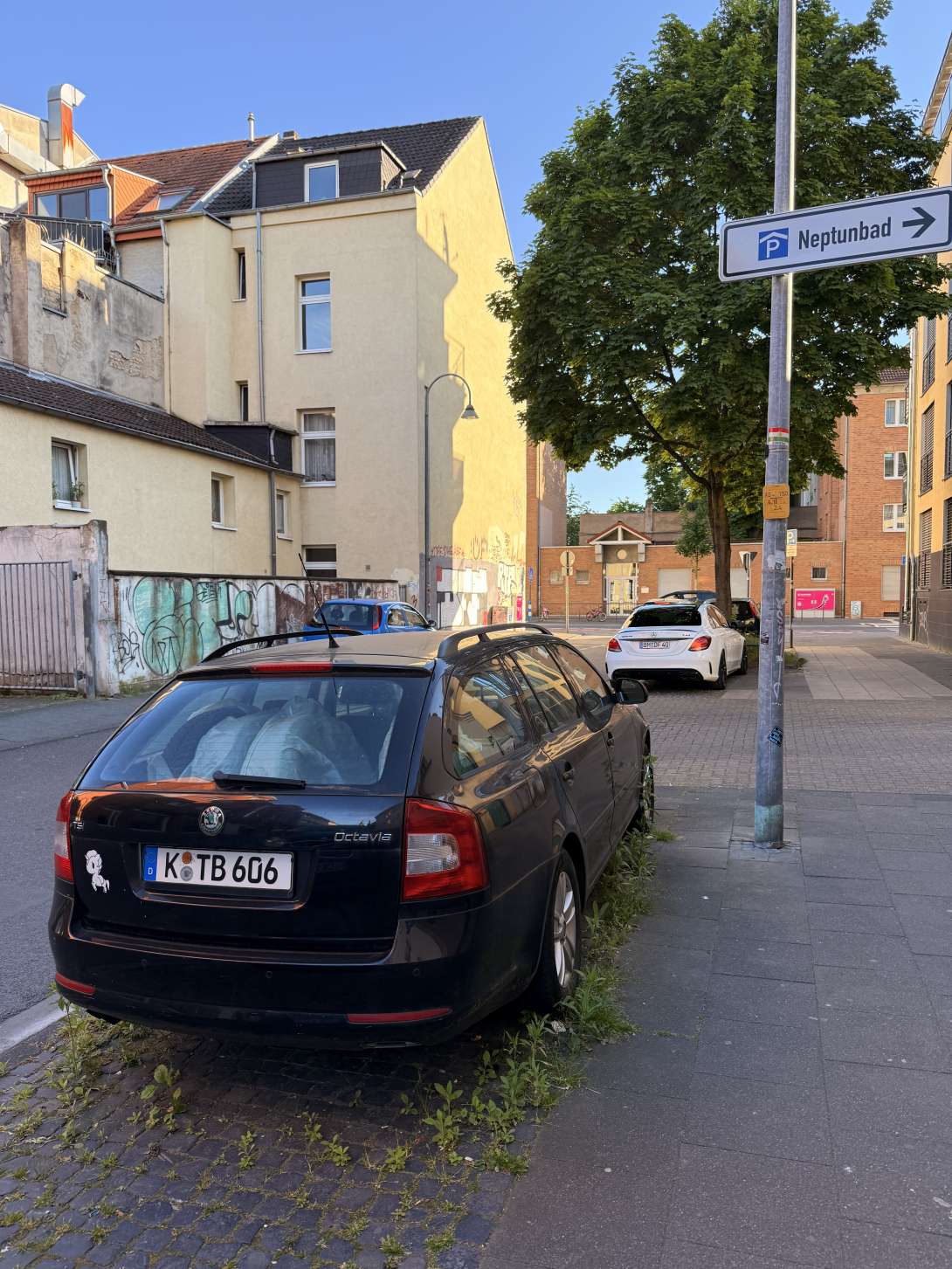 Bild zu gemeldetem Anliegen vom *2025-05-10 18:27:42