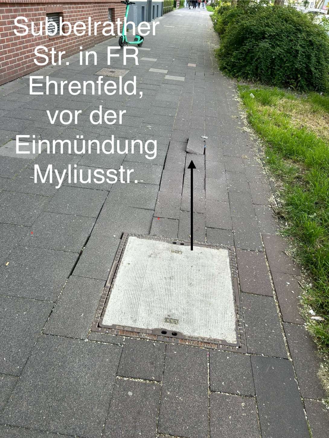 Bild zu gemeldetem Anliegen vom *2025-05-08 10:22:31