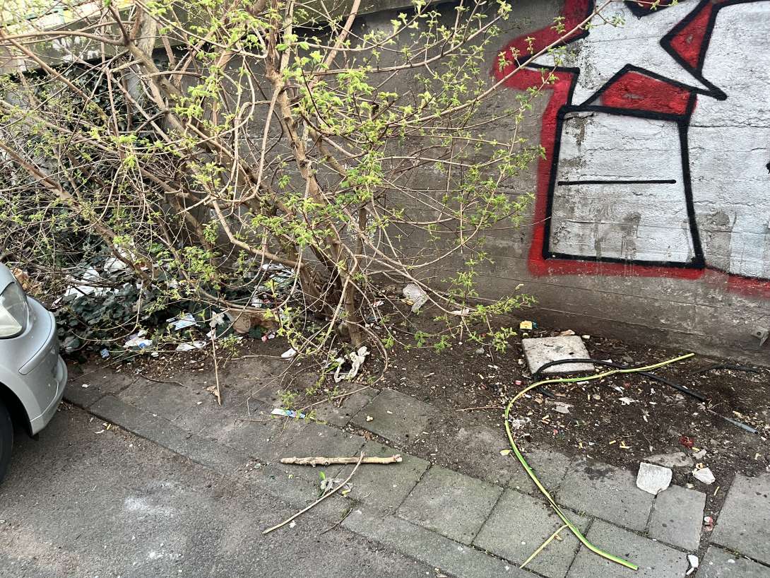 Bild zu gemeldetem Anliegen vom *2025-05-06 19:48:31