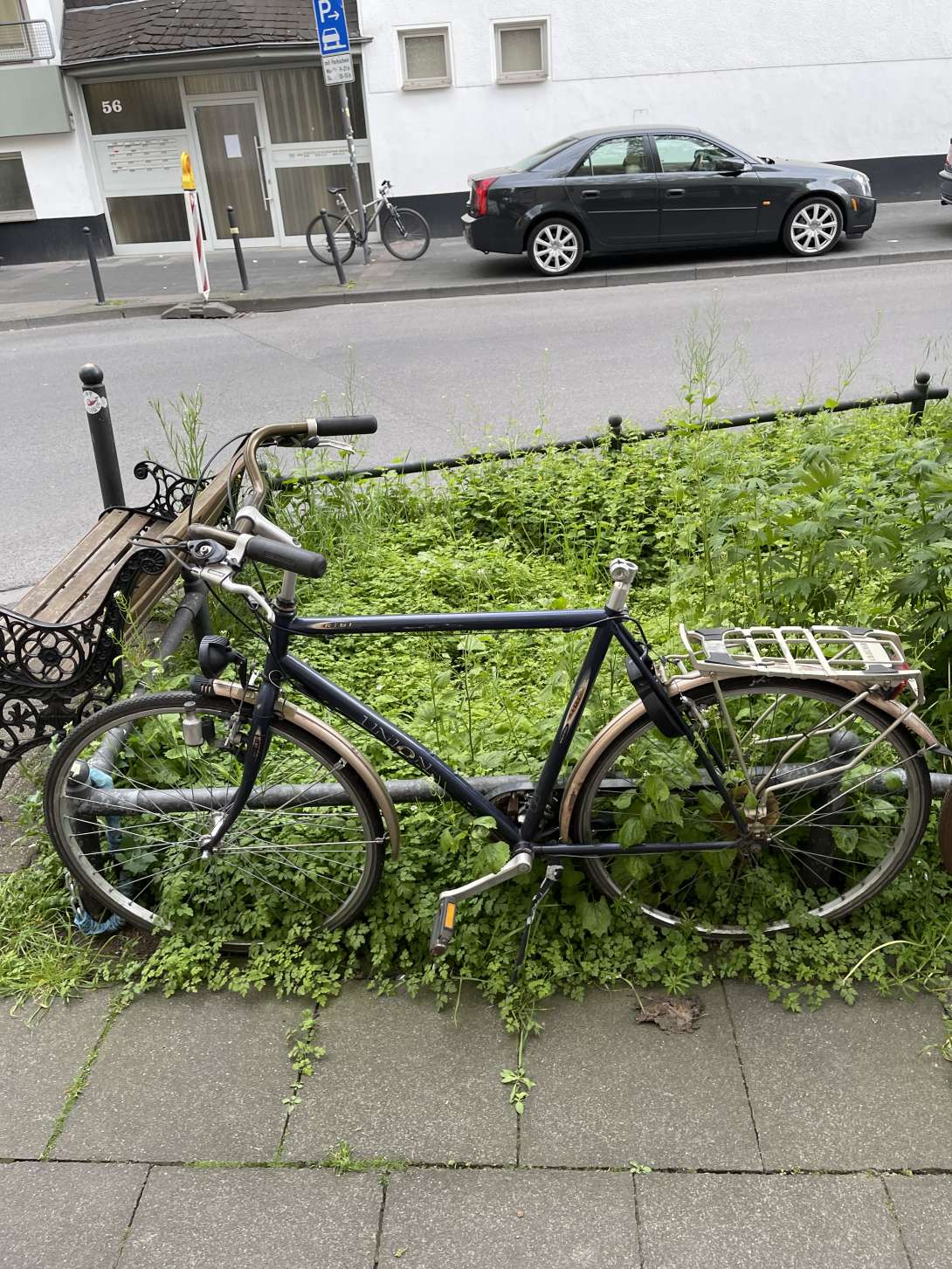 Bild zu gemeldetem Anliegen vom *2025-05-05 21:59:54