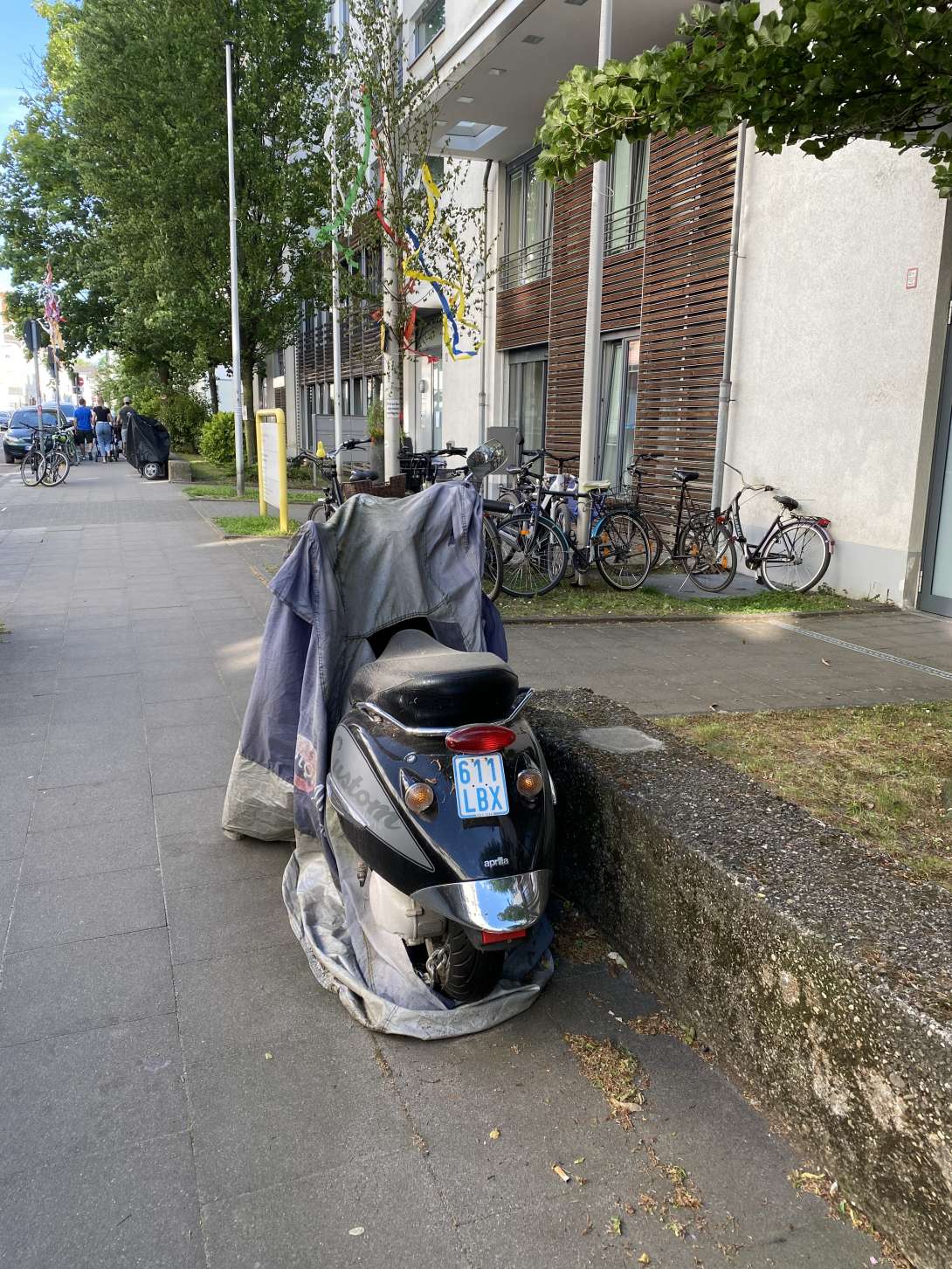 Bild zu gemeldetem Anliegen vom *2025-05-18 09:30:04