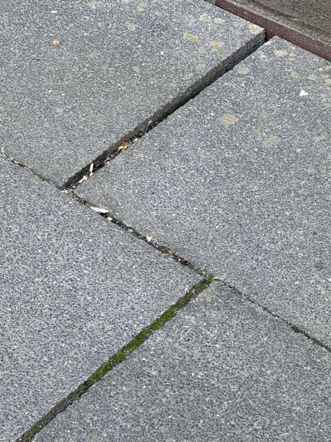 Bild zu gemeldetem Anliegen vom *2025-05-05 19:58:42