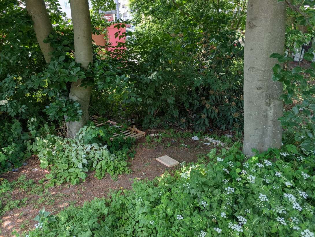 Bild zu gemeldetem Anliegen vom *2025-05-26 12:19:17