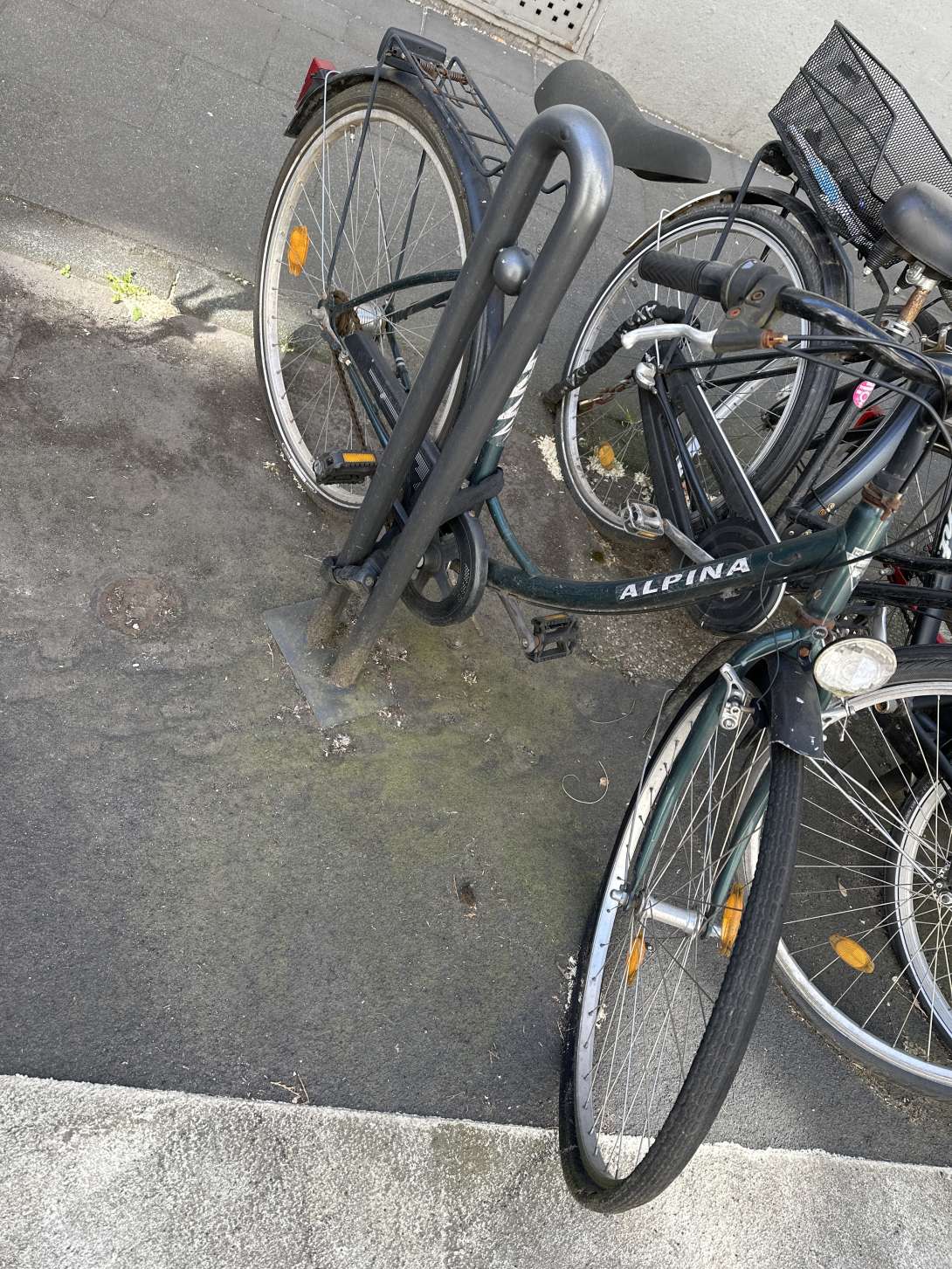 Bild zu gemeldetem Anliegen vom *2025-05-19 09:30:48