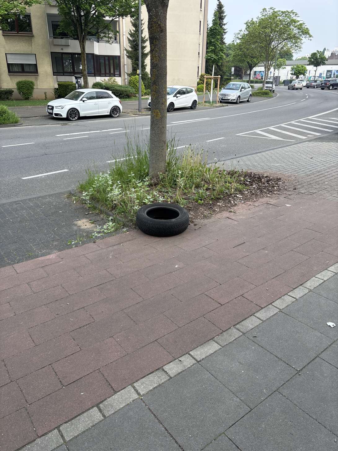 Bild zu gemeldetem Anliegen vom *2025-05-03 09:26:33