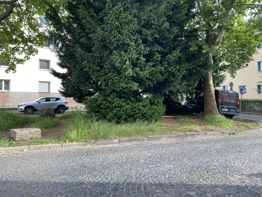 Bild zu gemeldetem Anliegen vom *2025-05-26 08:53:50