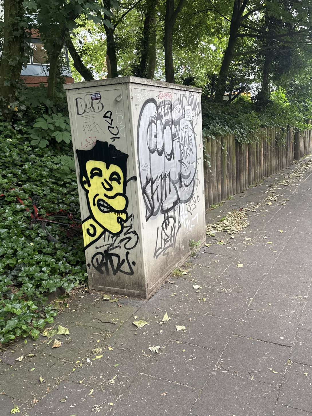 Bild zu gemeldetem Anliegen vom *2025-05-27 10:58:19