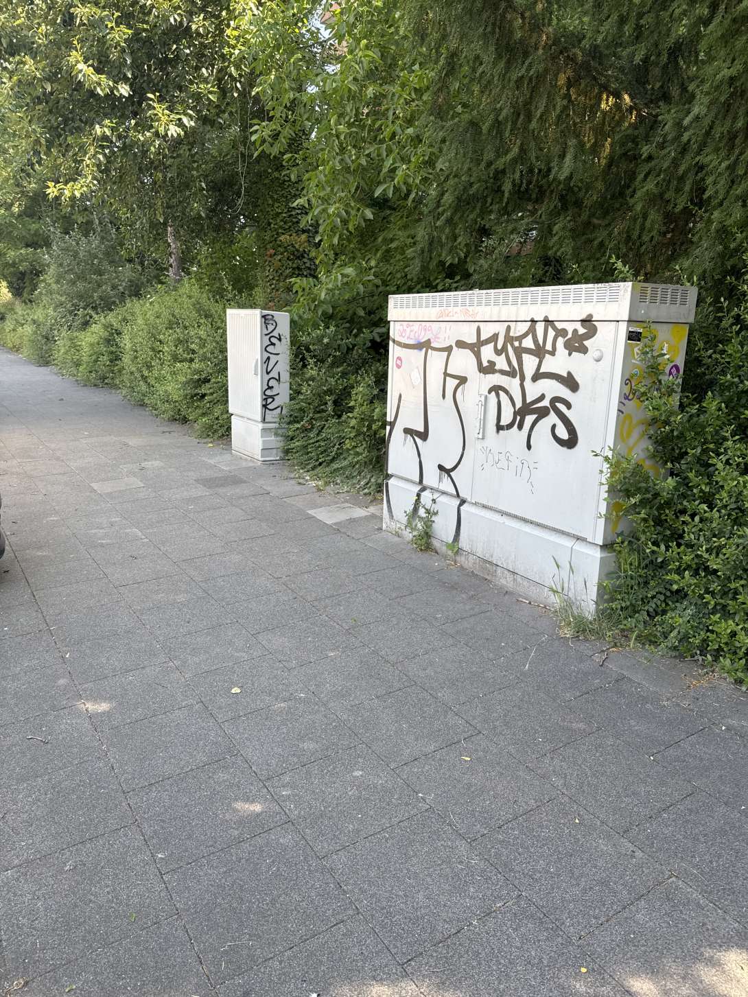 Bild zu gemeldetem Anliegen vom *2025-05-31 10:24:39