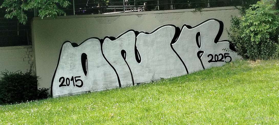 Bild zu gemeldetem Anliegen vom *2025-06-09 18:40:55