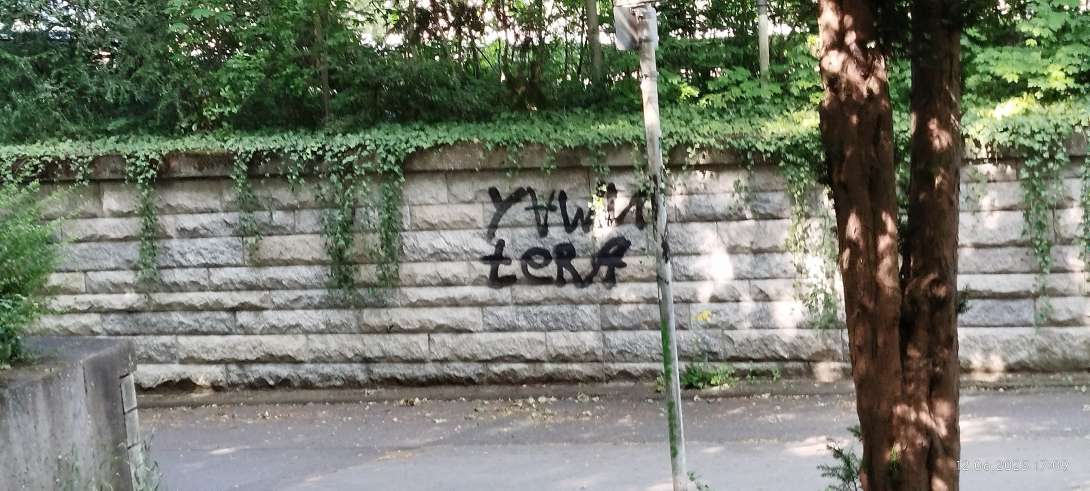 Bild zu gemeldetem Anliegen vom *2025-06-12 17:13:53