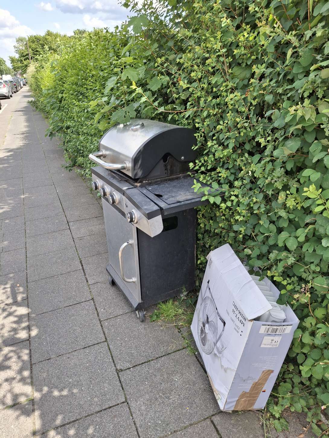 Bild zu gemeldetem Anliegen vom *2025-06-03 10:33:36