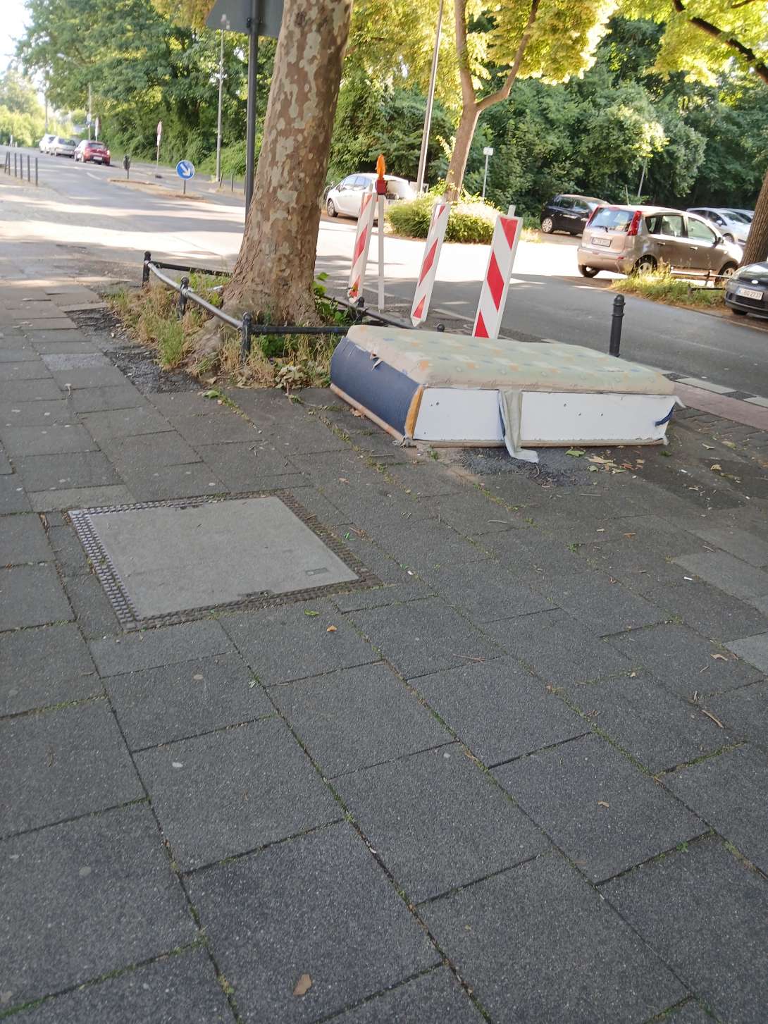 Bild zu gemeldetem Anliegen vom *2025-06-23 10:34:07