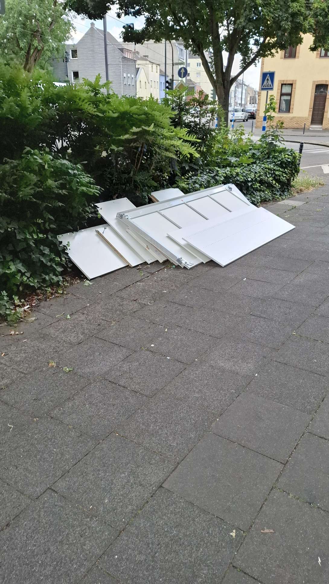 Bild zu gemeldetem Anliegen vom *2025-06-29 21:28:08