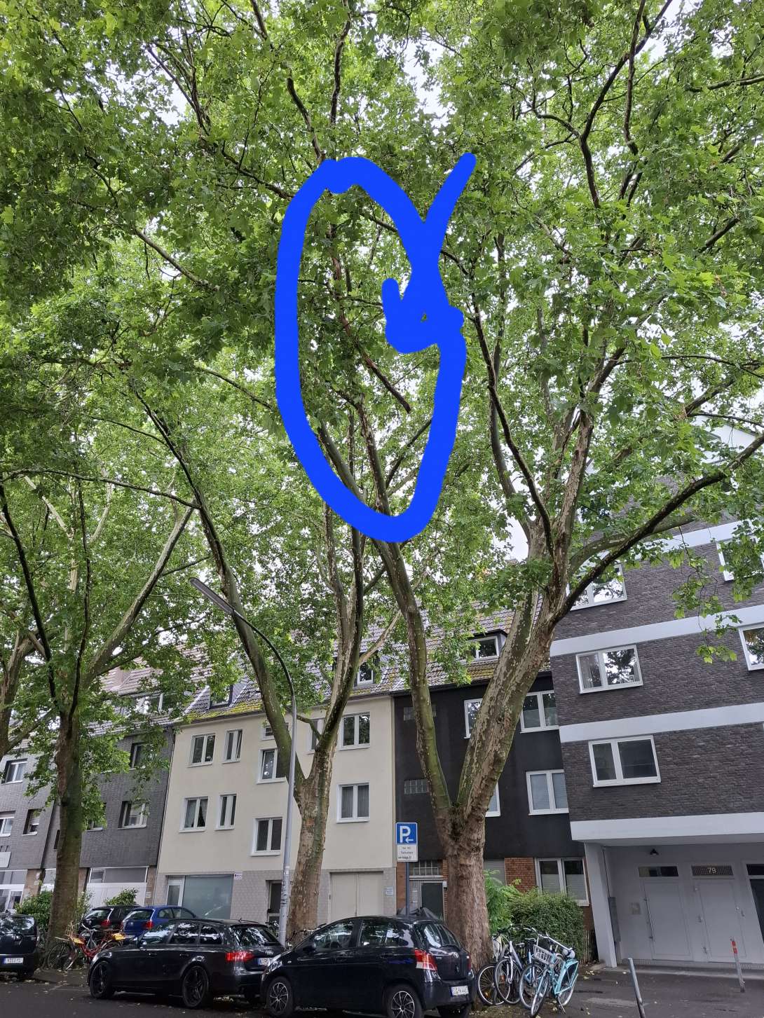 Bild zu gemeldetem Anliegen vom *2025-06-08 20:02:59