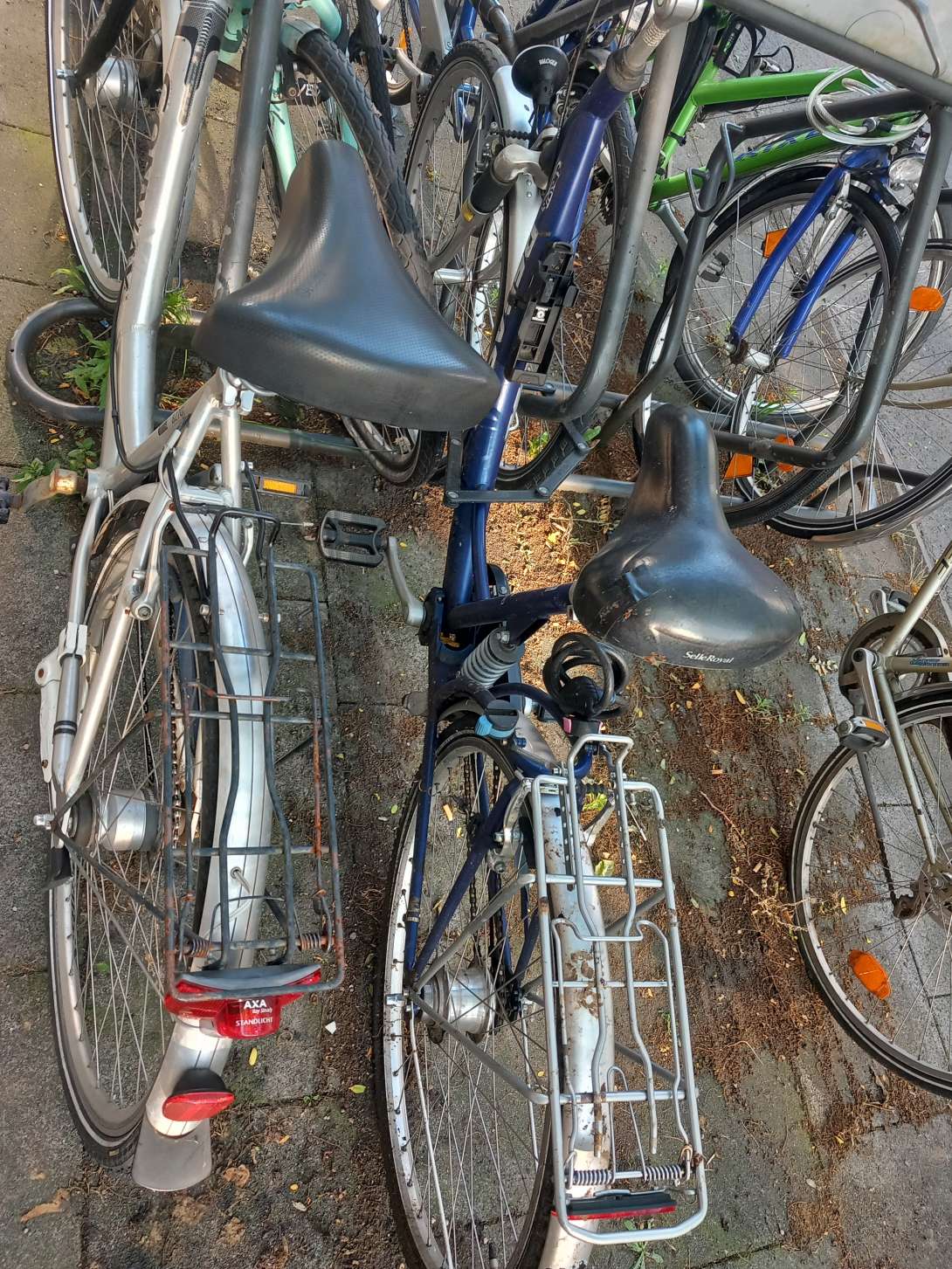 Bild zu gemeldetem Anliegen vom *2025-06-18 18:33:10