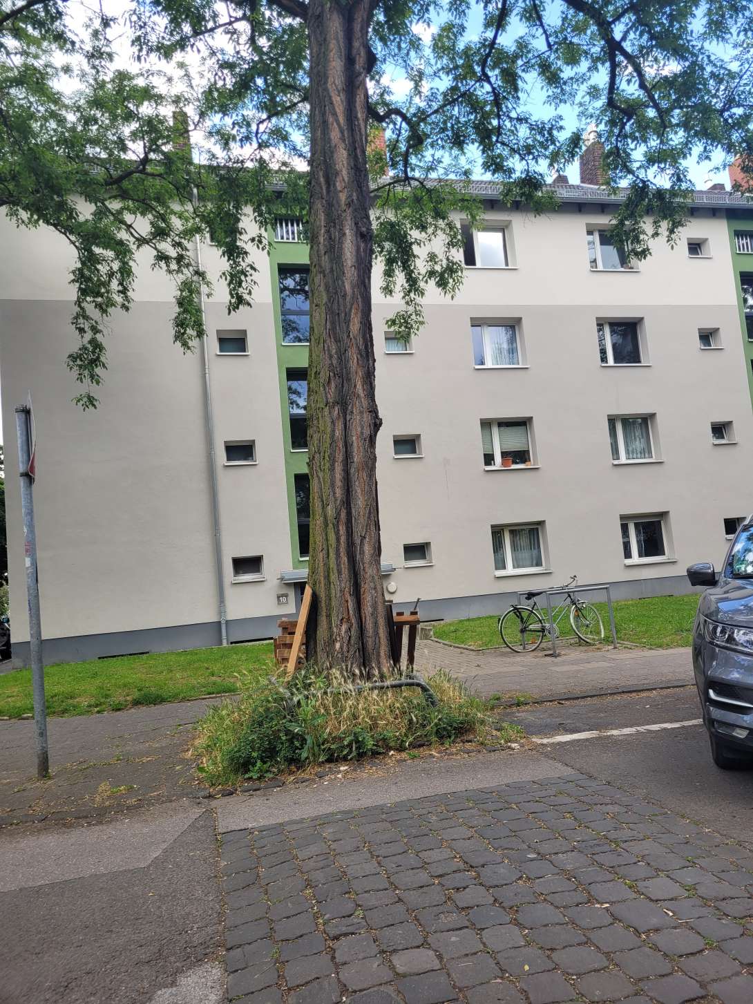 Bild zu gemeldetem Anliegen vom *2025-06-03 09:47:32