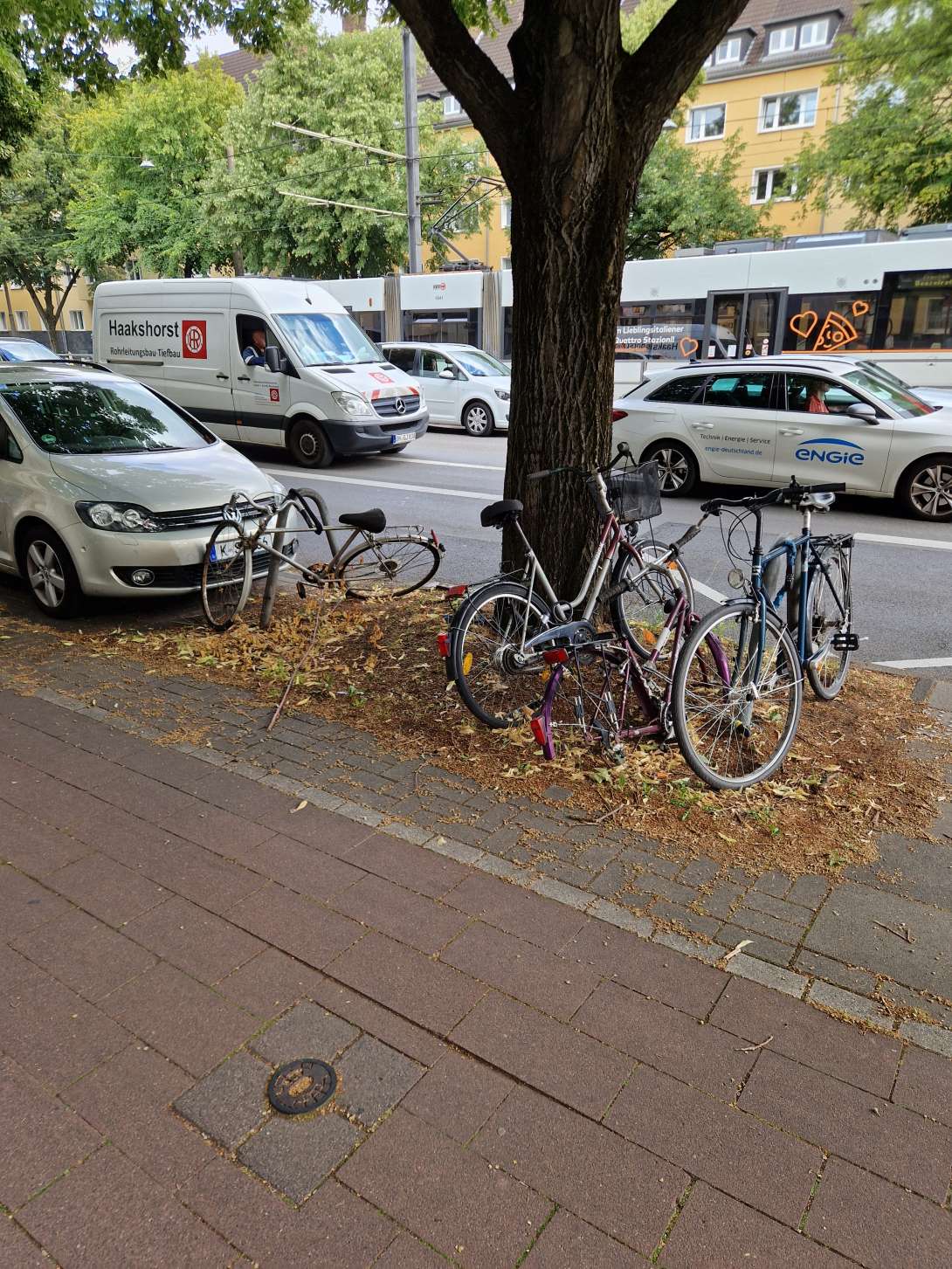 Bild zu gemeldetem Anliegen vom *2025-06-27 16:36:30