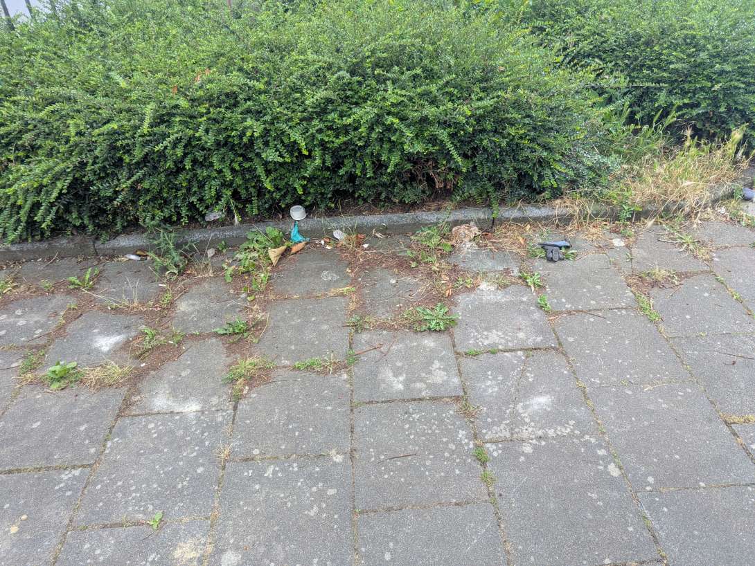Bild zu gemeldetem Anliegen vom *2025-06-26 21:34:58
