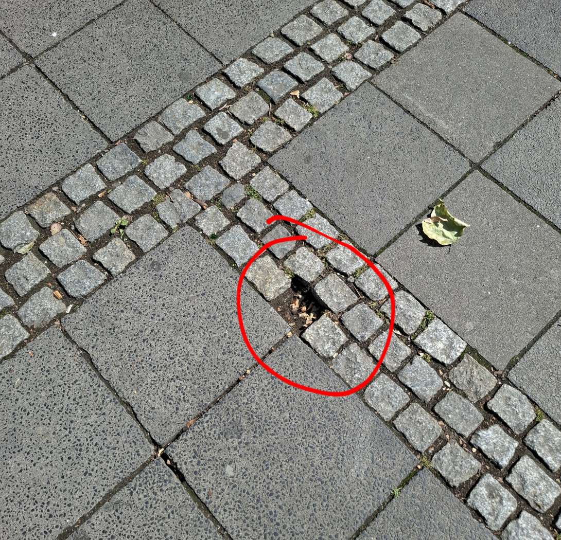 Bild zu gemeldetem Anliegen vom *2025-06-16 11:00:59