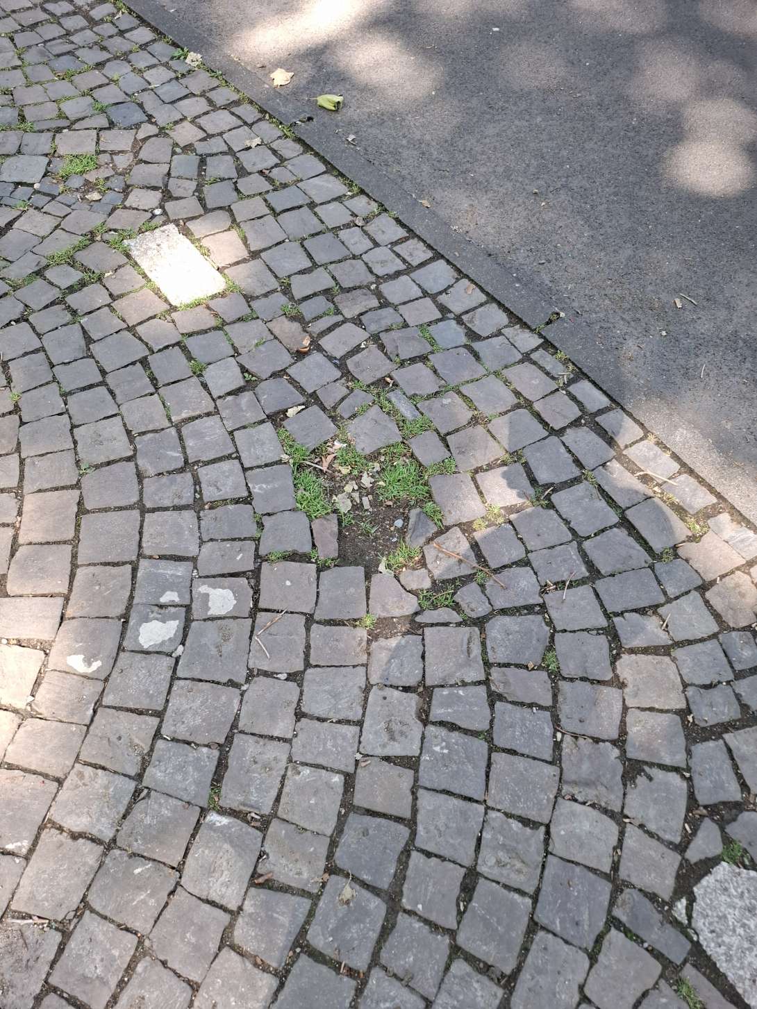 Bild zu gemeldetem Anliegen vom *2025-06-16 11:05:28