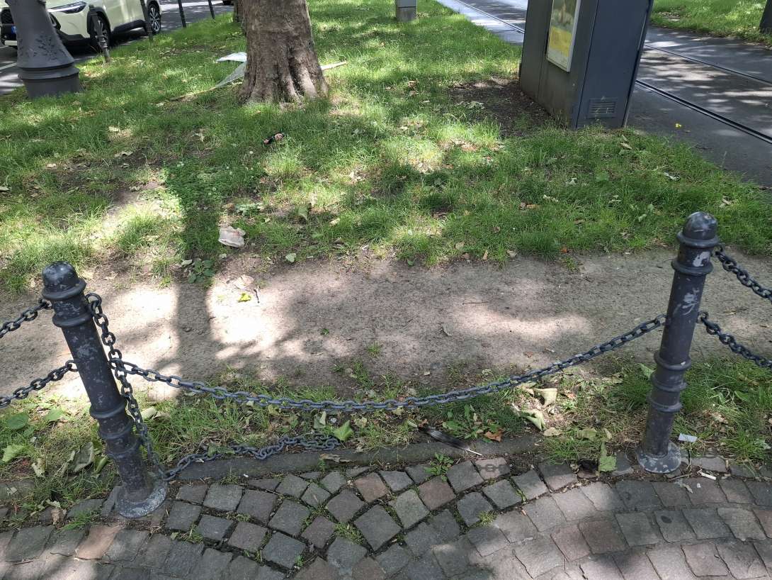 Bild zu gemeldetem Anliegen vom *2025-06-16 13:42:30