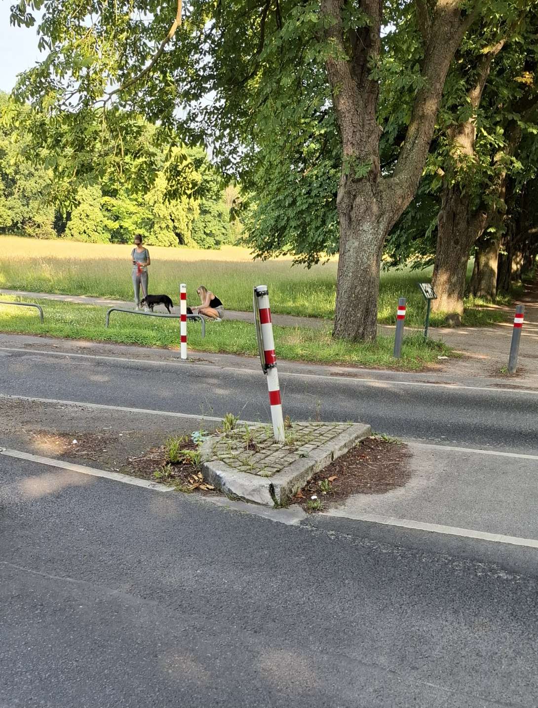 Bild zu gemeldetem Anliegen vom *2025-06-17 18:39:40