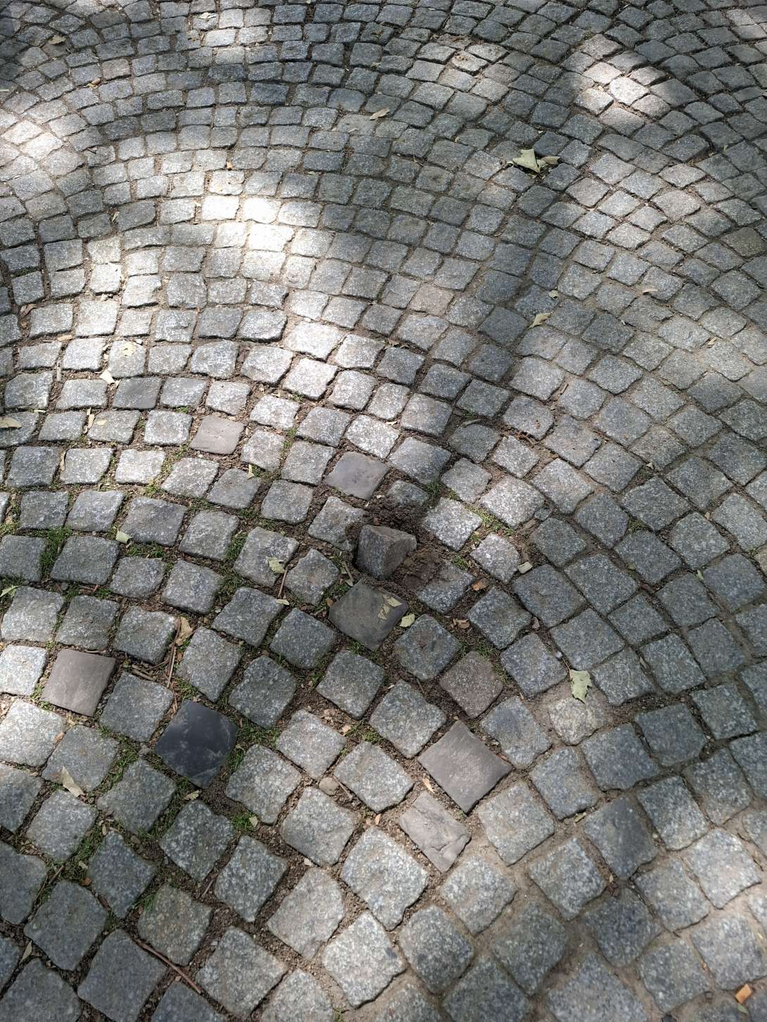 Bild zu gemeldetem Anliegen vom *2025-06-18 12:05:35