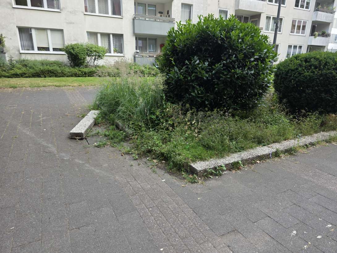 Bild zu gemeldetem Anliegen vom *2025-06-25 18:56:02