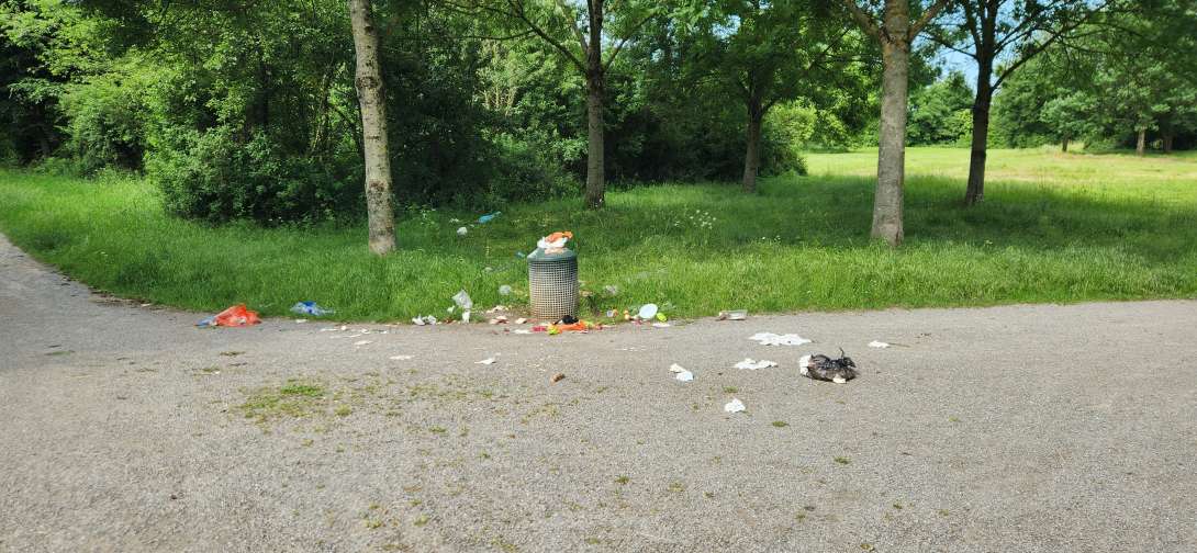 Bild zu gemeldetem Anliegen vom *2025-06-02 10:04:16