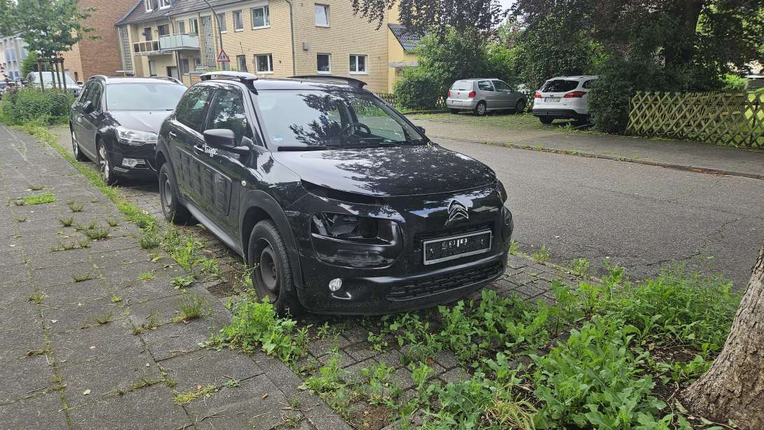 Bild zu gemeldetem Anliegen vom *2025-06-26 18:35:33