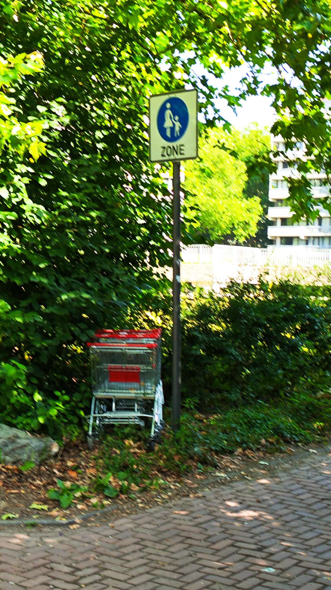 Bild zu gemeldetem Anliegen vom *2025-06-23 11:15:02