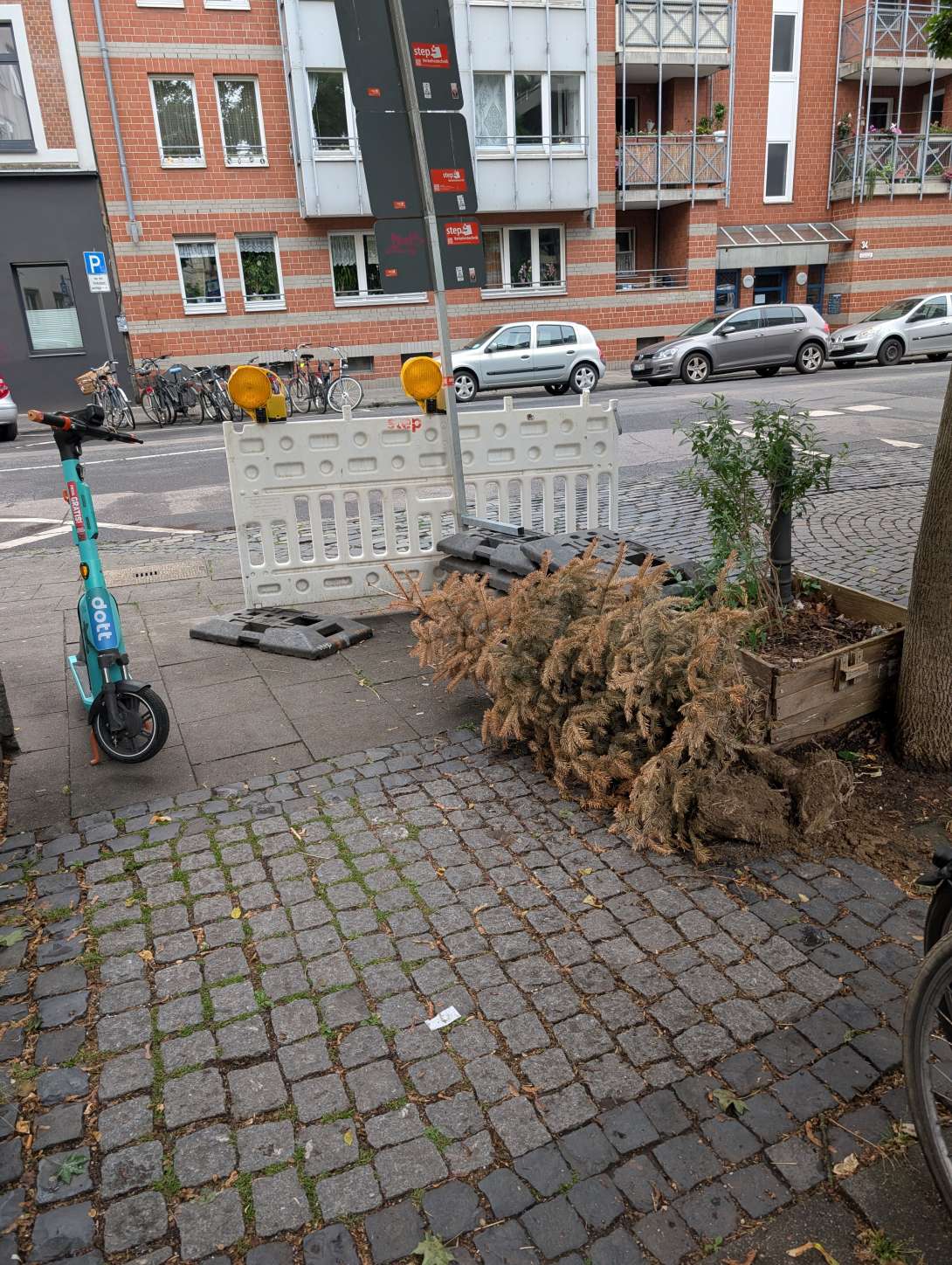 Bild zu gemeldetem Anliegen vom *2025-06-01 11:31:42