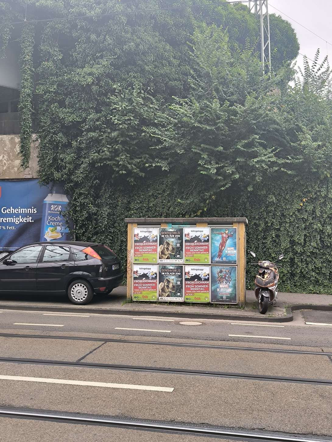 Bild zu gemeldetem Anliegen vom *2025-06-24 19:34:23