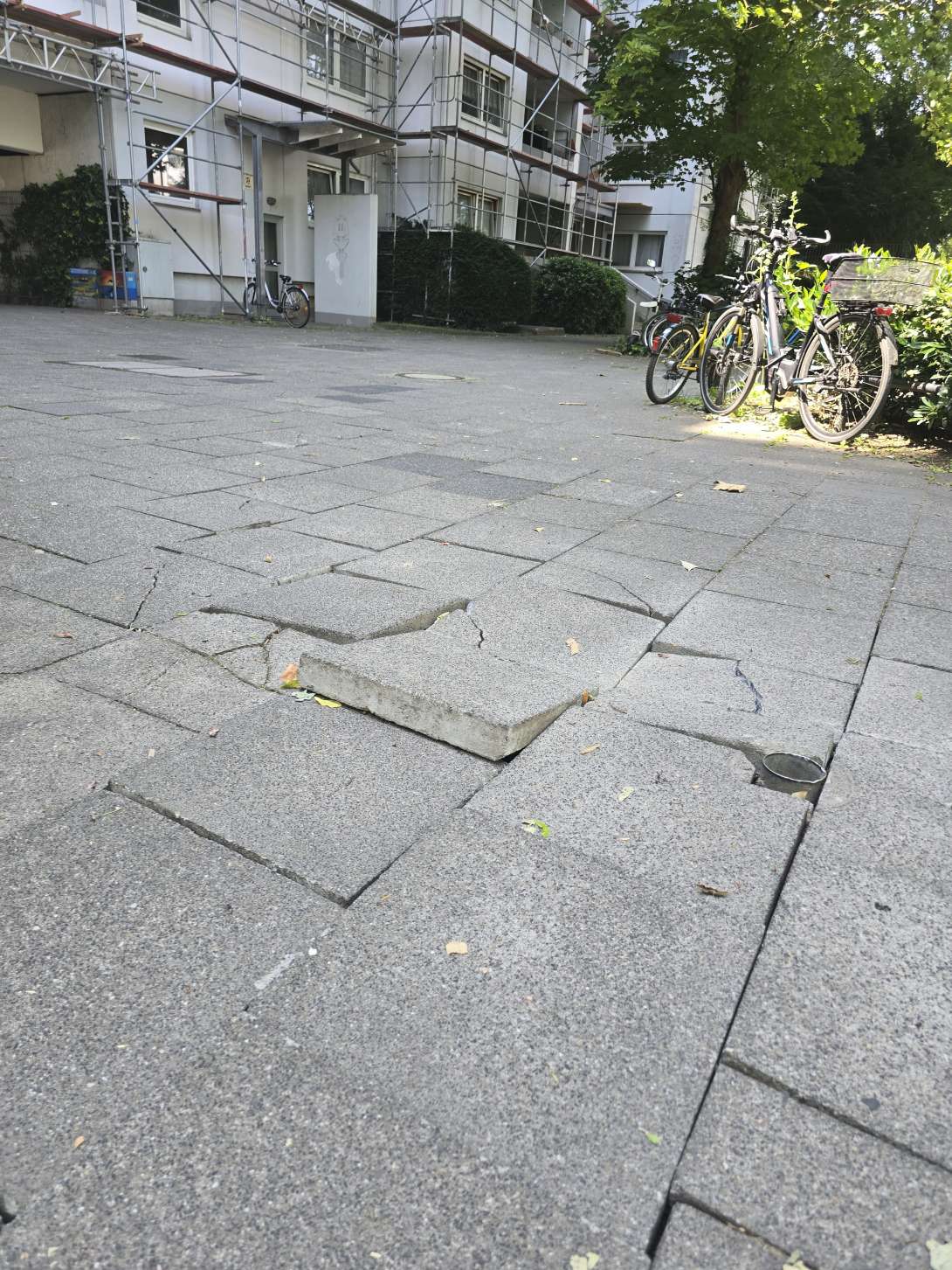 Bild zu gemeldetem Anliegen vom *2025-06-12 14:09:59