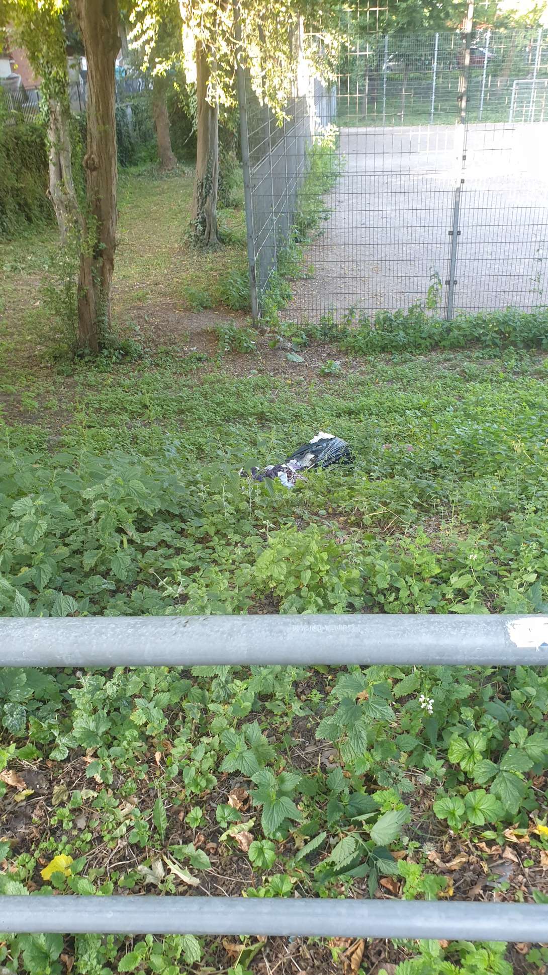 Bild zu gemeldetem Anliegen vom *2025-06-20 07:25:33