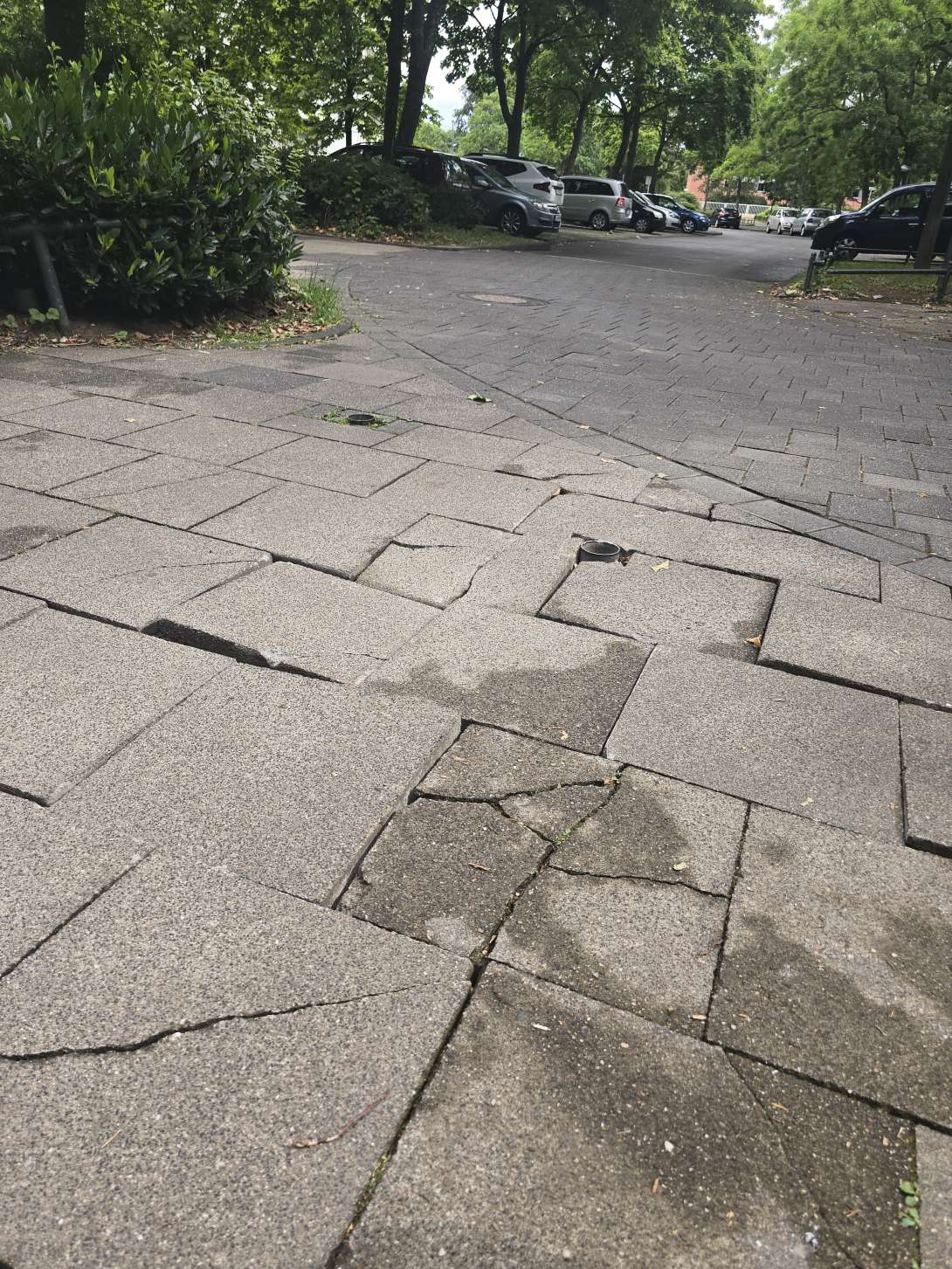 Bild zu gemeldetem Anliegen vom *2025-06-26 09:32:44