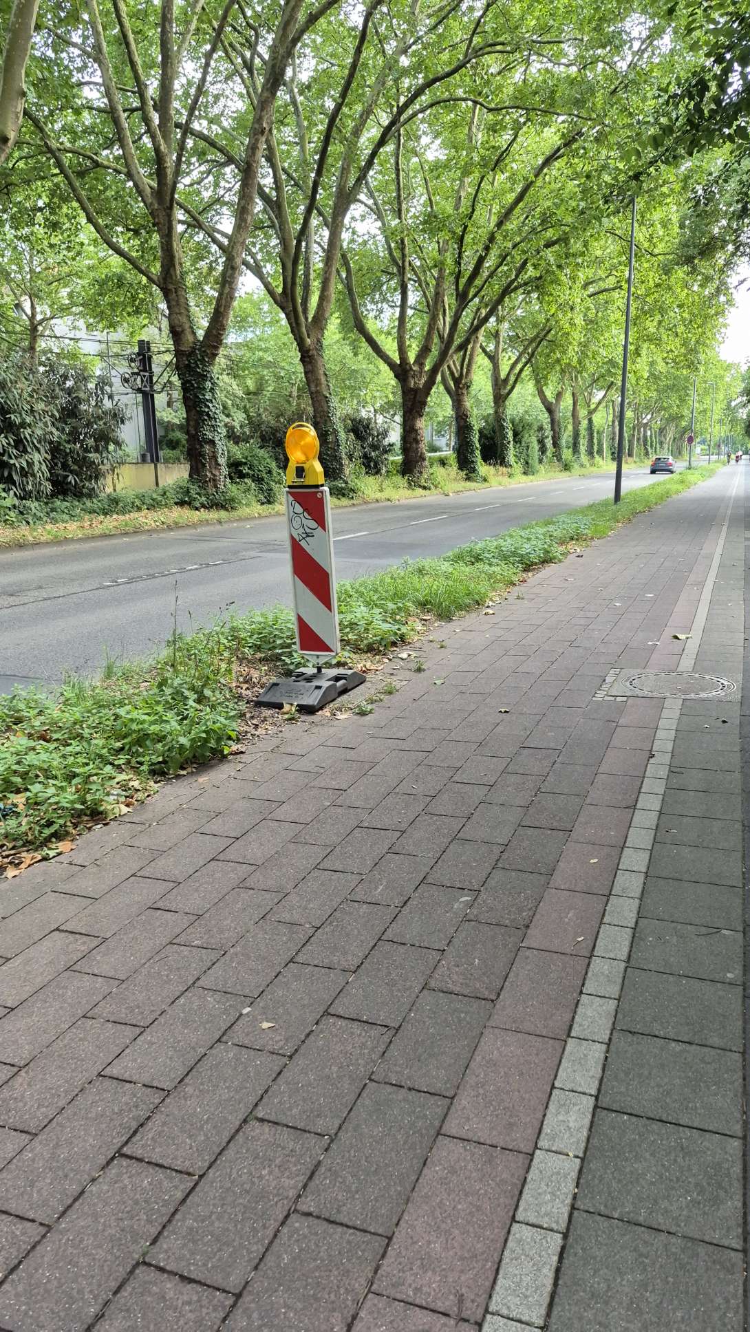 Bild zu gemeldetem Anliegen vom *2025-06-26 19:13:44