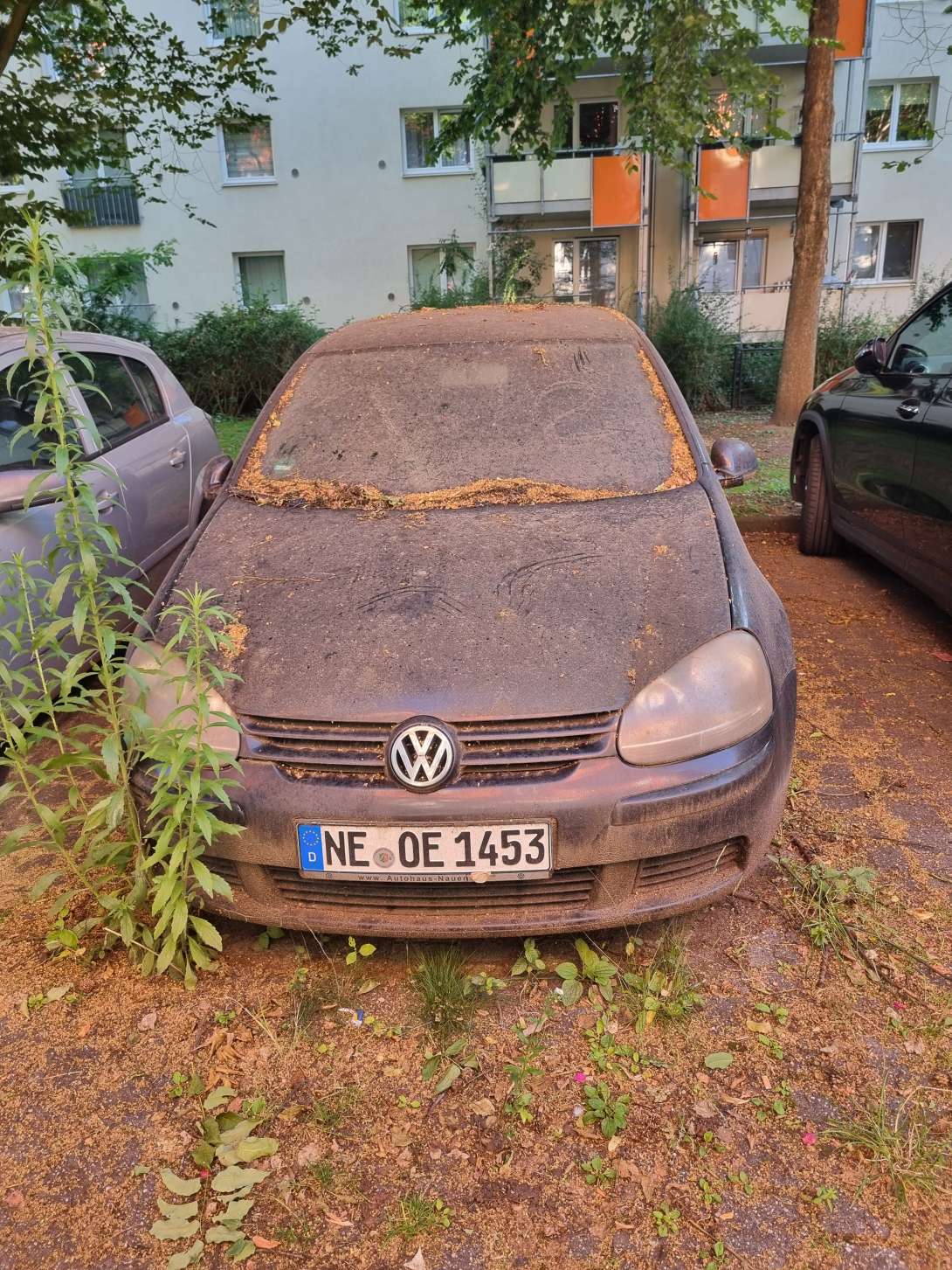 Bild zu gemeldetem Anliegen vom *2025-06-28 19:23:28