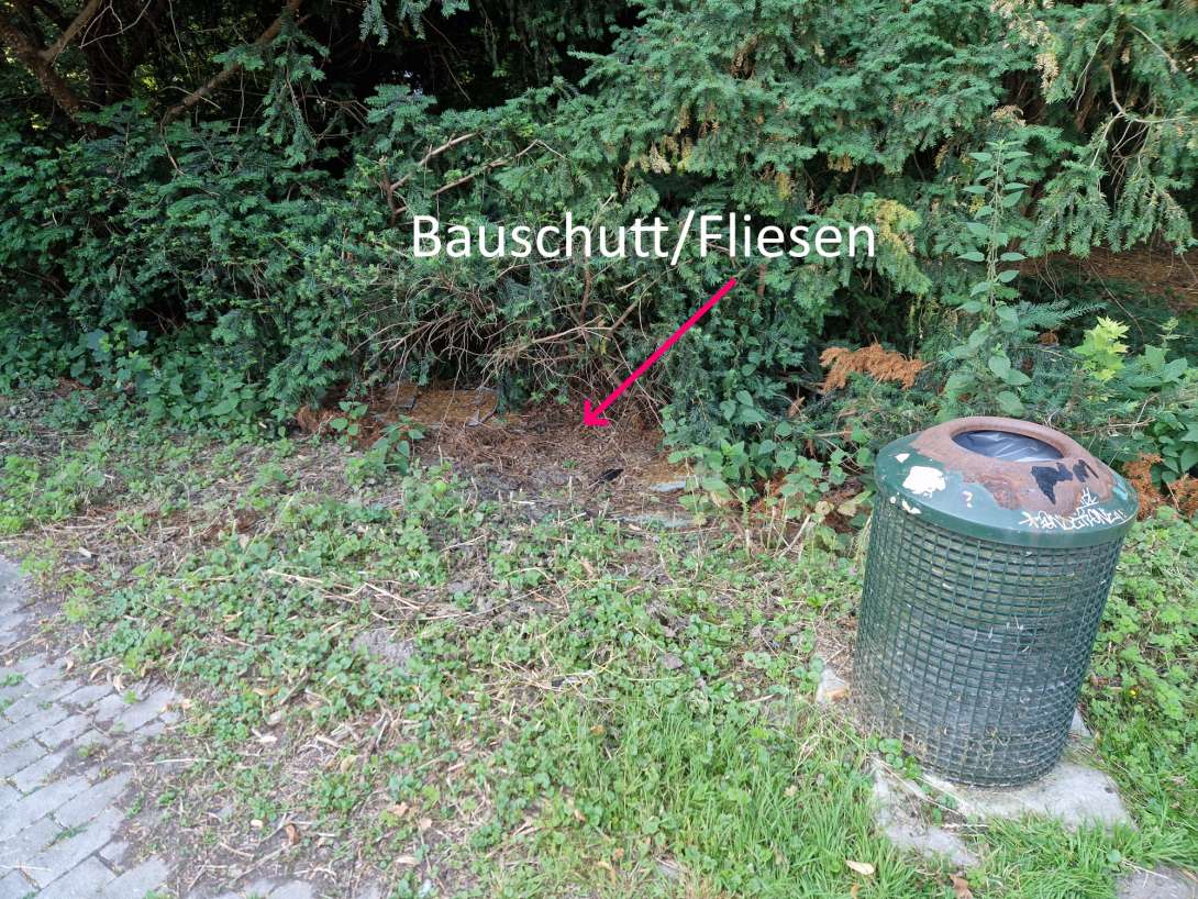 Bild zu gemeldetem Anliegen vom *2025-06-24 08:45:22