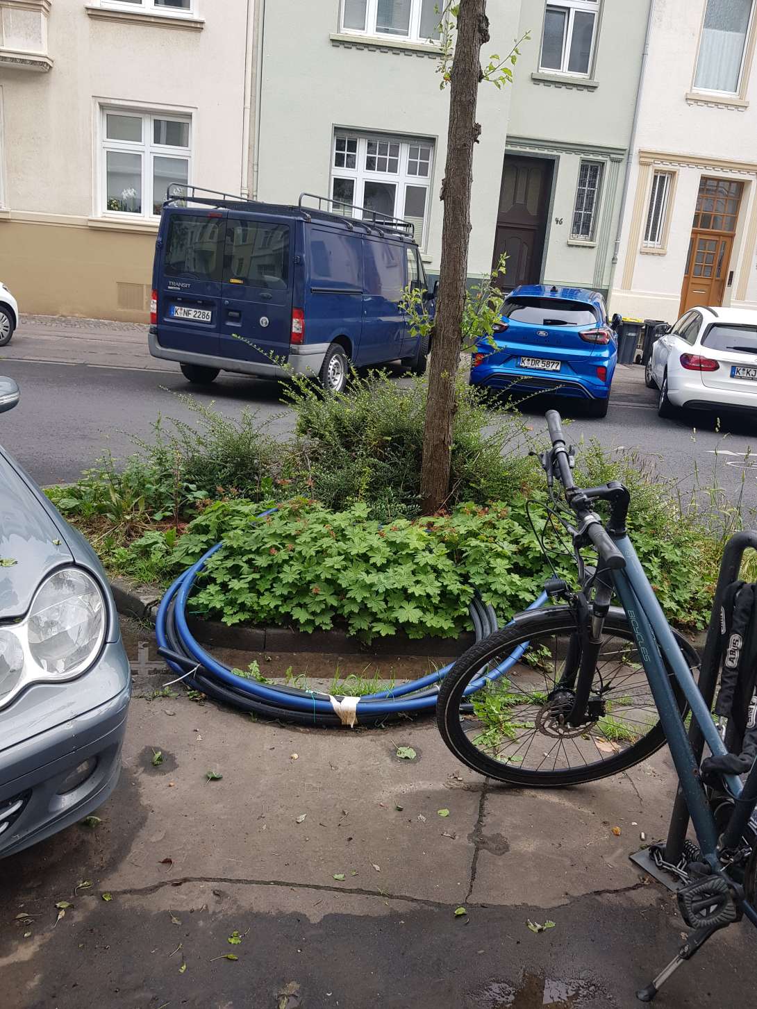 Bild zu gemeldetem Anliegen vom *2025-06-04 09:45:18