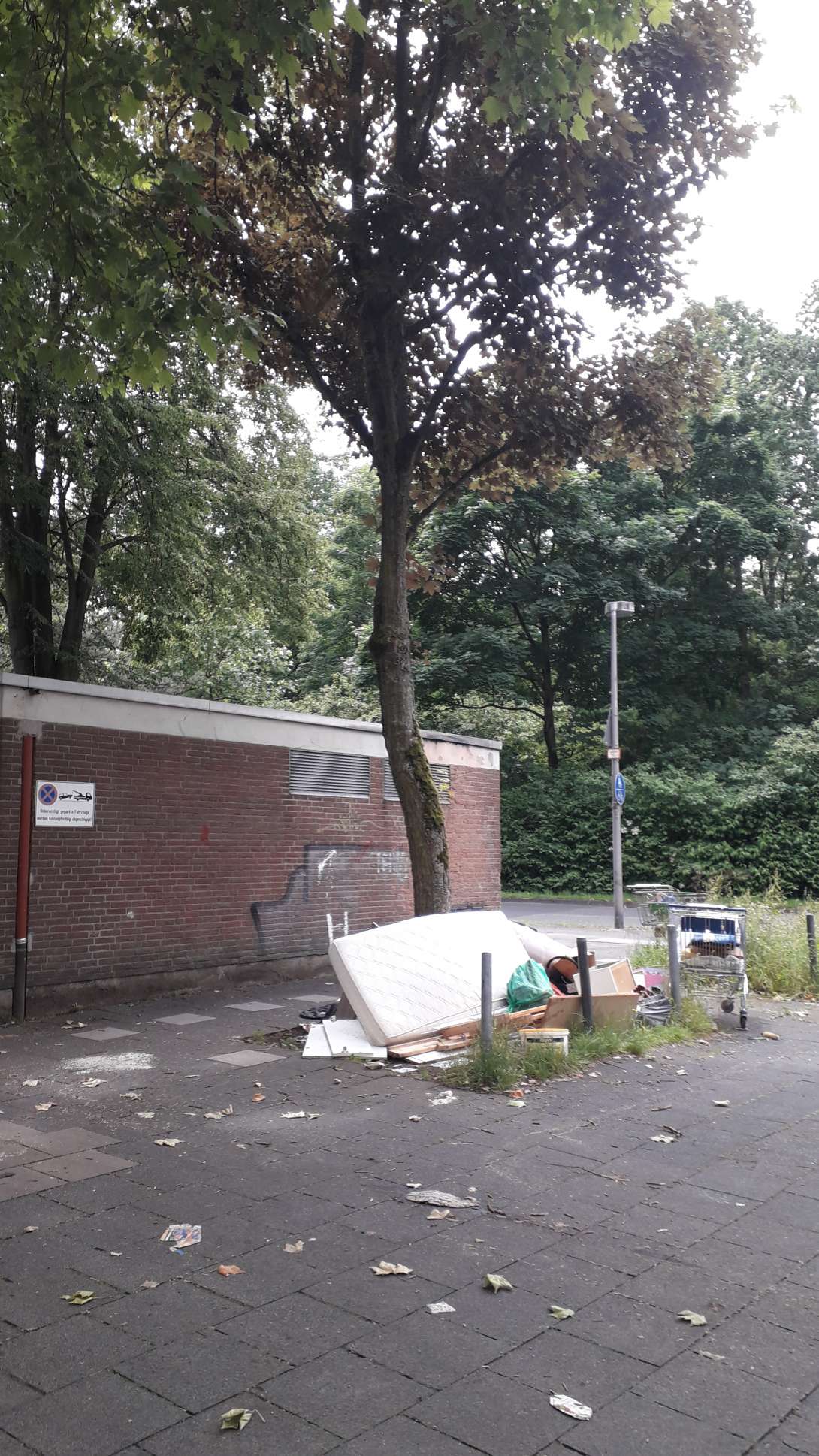 Bild zu gemeldetem Anliegen vom *2025-06-01 22:01:24