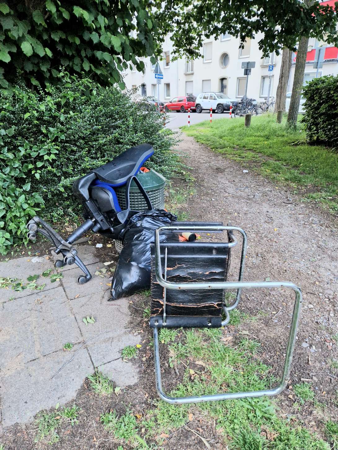 Bild zu gemeldetem Anliegen vom *2025-06-01 22:44:57