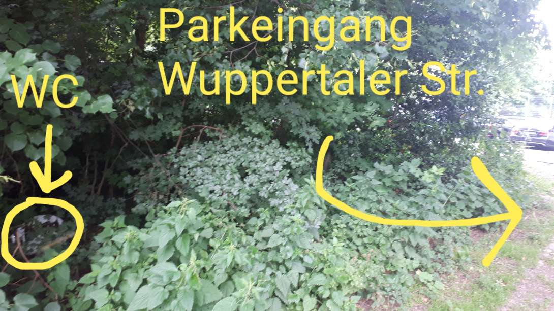 Bild zu gemeldetem Anliegen vom *2025-06-05 14:09:41