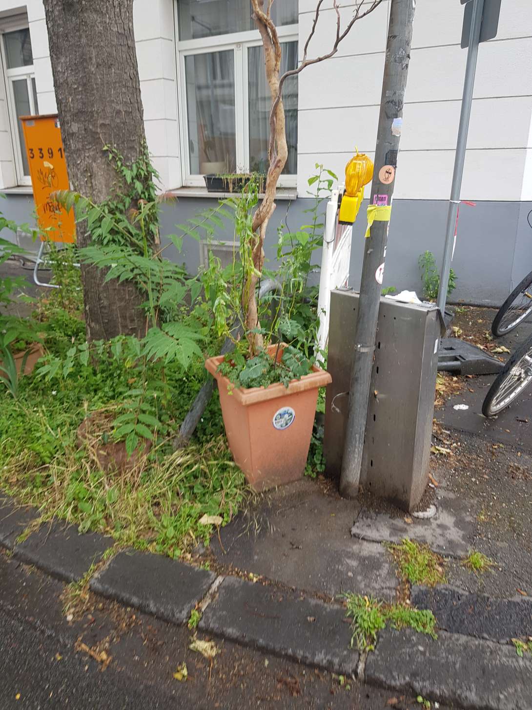 Bild zu gemeldetem Anliegen vom *2025-06-10 11:03:22