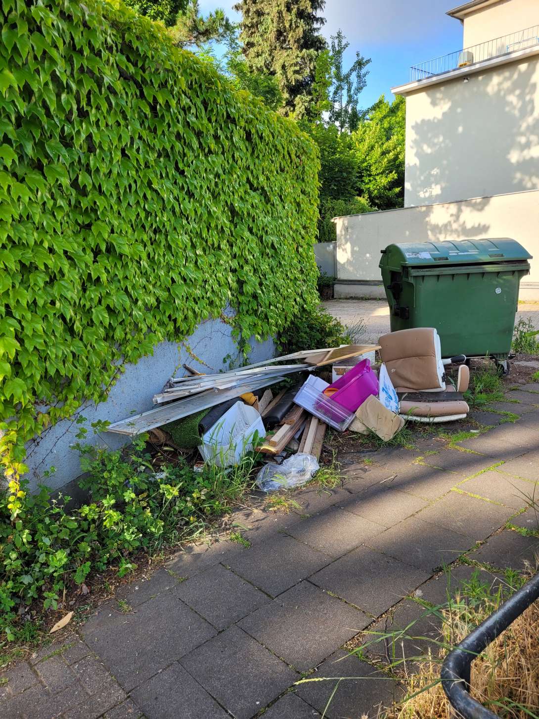 Bild zu gemeldetem Anliegen vom *2025-06-15 11:44:56